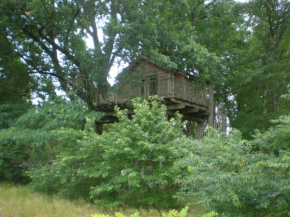 cabane perchée